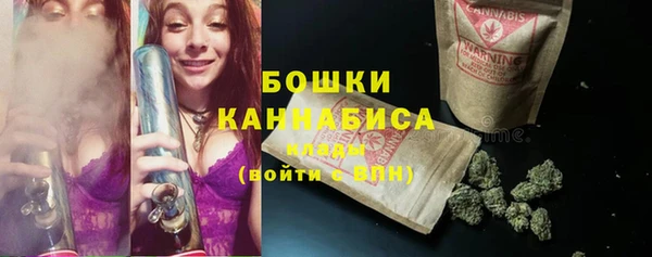 сатива Богданович