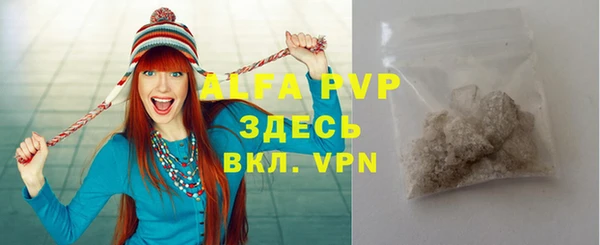 сатива Богданович