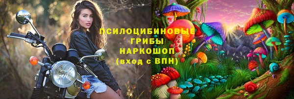 молекула духа Краснотурьинск
