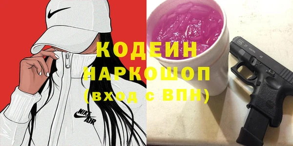 прущий лед Бородино