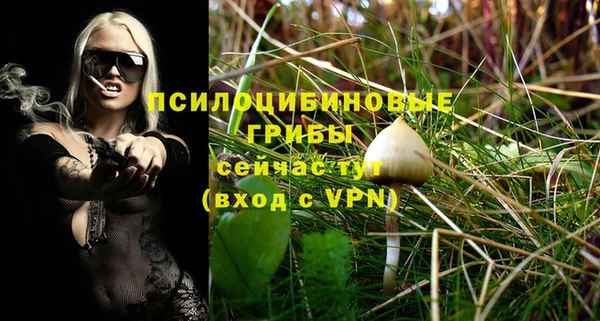 сатива Богданович